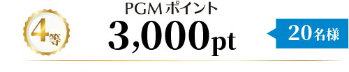 4等 PGMポイント3,000pt 20名様