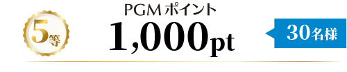 5等 PGMポイント1,000pt 30名様